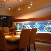 acuario casa 1 200x200 Un Acuario en Casa, Ideas para Decorar