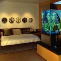 acuario casa 10 200x200 Un Acuario en Casa, Ideas para Decorar