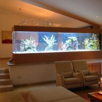 acuario casa 2 200x200 Un Acuario en Casa, Ideas para Decorar