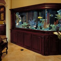 acuario casa 4 200x200 Un Acuario en Casa, Ideas para Decorar