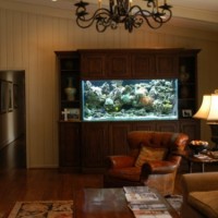 acuario casa 6 200x200 Un Acuario en Casa, Ideas para Decorar