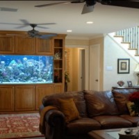 acuario casa 7 200x200 Un Acuario en Casa, Ideas para Decorar