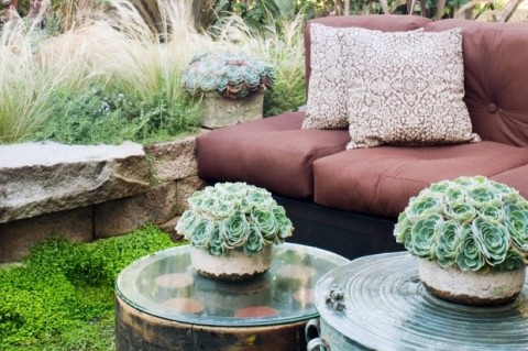 decoracion-jardines-plantas-suculentas-2