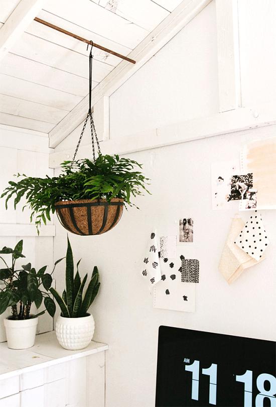 decorar con plantas interiores