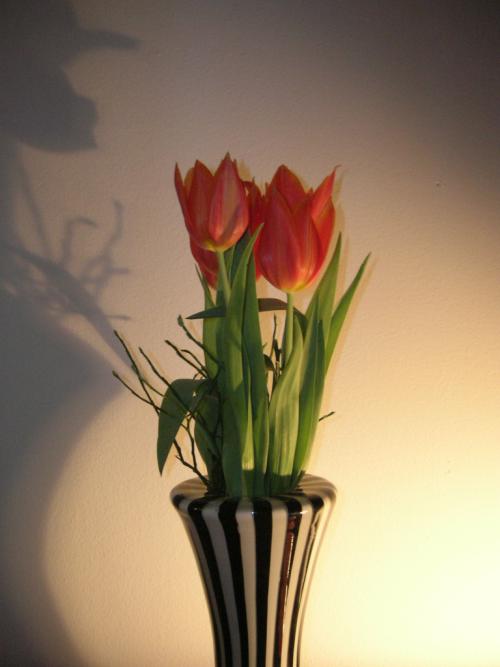 ideas-decorar-san-valentin-flores