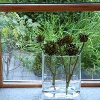 Color Inspiración inspiracion color 13 200x200 Color Inspiración