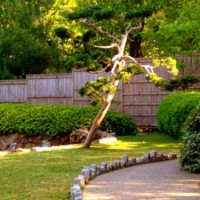 jardin zen 7 200x200 Jardines con Aire Oriental