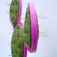 muebles : Silla Prickly silla prickly 4 200x200 Silla Prickly